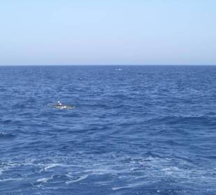 Ausflug Giftun Insel