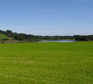 Schwarzenberger Weiher