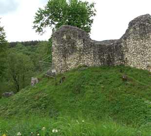 Ruine Burg Kaltenburg