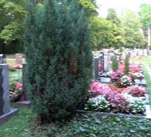 Neuer Friedhof Weilimdorf