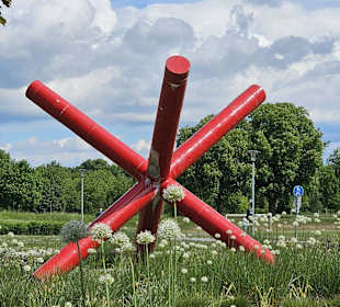 Eingang zum Wileypark