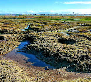 Der Weg ist das Ziel