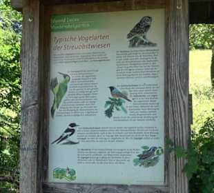 Eduard Lucas Musterobstgarten Mähringen