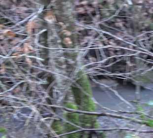 Wanderung rund um den Ochsenweiher