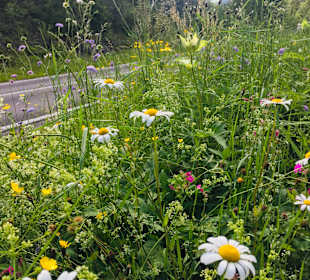 Wandern Göstling an der Ybbs