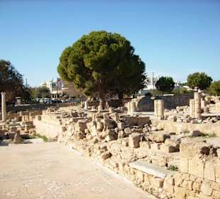 Die Paulussäule neben dem Baum