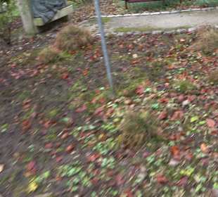 Ausstellung Friedhofsgeschichte - Trauwerweg