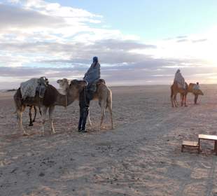 Auf Kamelen dem Sonnenuntergang entgegen