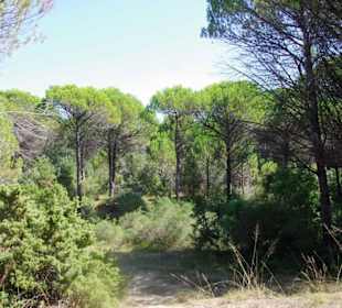 Sehr schönes Gebiet