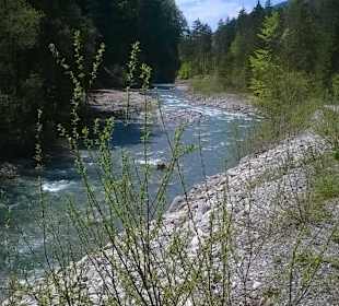 Wanderweg durch das Walsertal