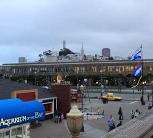 Aquarium Fisherman's Wharf
