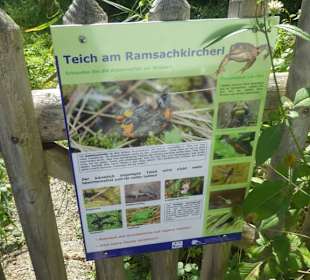 Wandern Murnau am Staffelsee