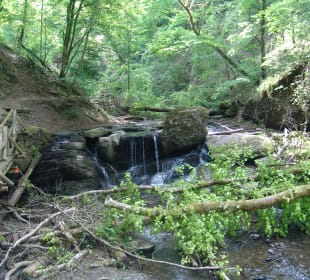 Traumschleife Ehrbachklamm 2022 – durch die Klamm