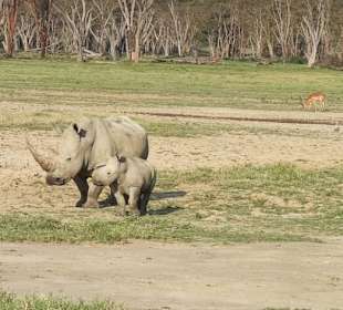 Geführte Touren Marco Polo Tours & Safaris Diani Beach