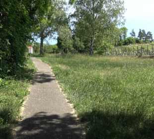 Früchtetrauf - Wurmlinger Kapellenwegle