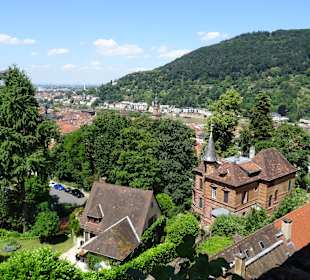 Schloss Heidelberg Ein- und Ausblicke