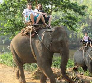 Ein Elefantenritt muß sein