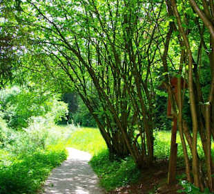 Wanderung zum Bärenfels