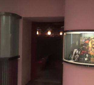 Haus der deutschen Geschichte