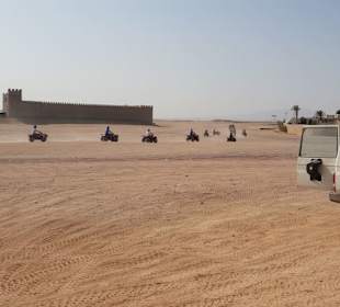Quad-Tour