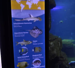 Aquarium