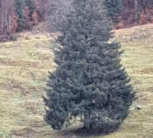 Wandern Bad Hindelang