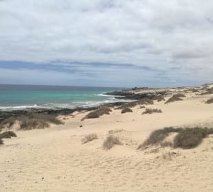 Naturpark Dünen von Corralejo
