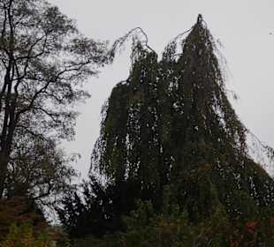Parkanlage Planten un Blomen