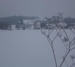 Blick über den verschneiten See