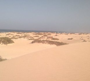 Mitten in den Dünen...