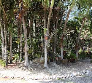 Manati Park
