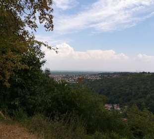 Klosterruine Limburg