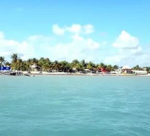 Toller Strand