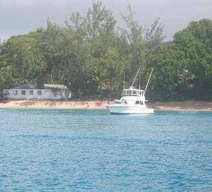 Bucht / Strand - Barbados