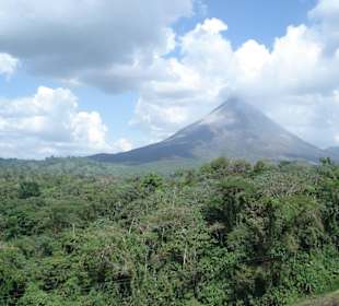 Ausblick vom Arenal See
