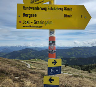 Wandern Alpbach