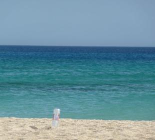 Paradis island ( giftun island)