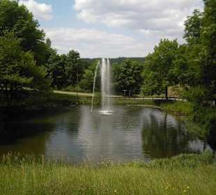 Blick in den Kurpark