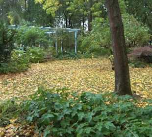 Karl-Foerster-Garten