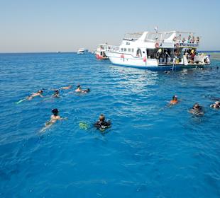 Schnorchelausflug - sehr empfehlenswert