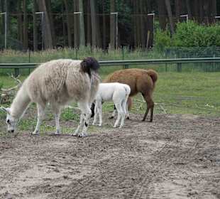 Serengeti Park Hodenhagen
