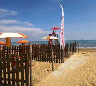 Für läufige Hündinnen