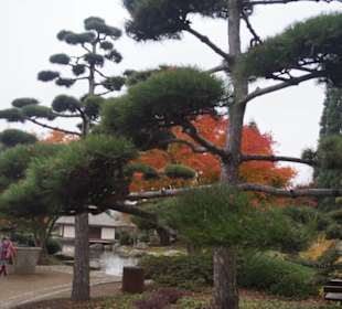 Parkanlage Planten un Blomen