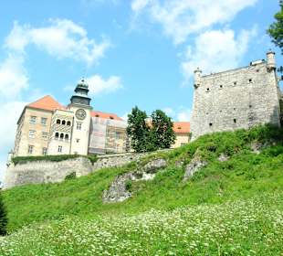 Zamek spod Maczugi Herkulesa