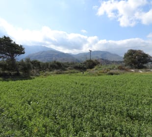 Wandern Georgioupolis