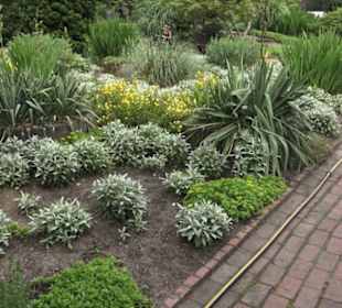 Bürgergarten