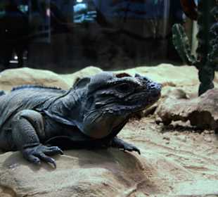 Tierpark Bochum - Impressionen