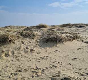 Strand Duhnen