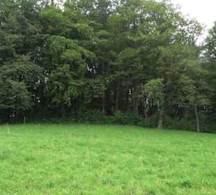 Hochgehnießen - Premiumspazierwanderweg