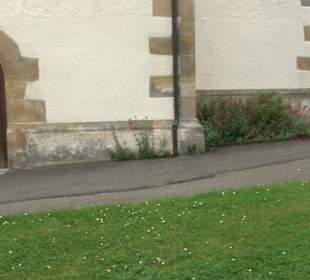 St. Gallus Kirche - Derendingen